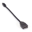 VA-MDP12-DP12: Videoadapter, Mini DisplayPort 1.2 zu DisplayPort 1.2, Stecker/Buchse, 20.3 cm